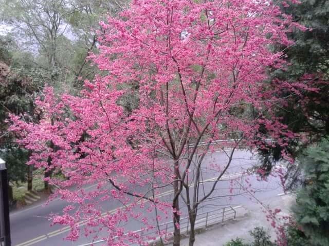 Ti Siang B&B Renai Buitenkant foto